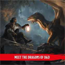 Dragon Delves info: Meet the Dragons of D&D