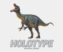 Holotype: Mesozoic Europe