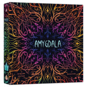 Amygdala