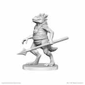 Classic Troglodyte • WZK90777
