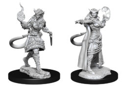 Tiefling Sorcerer Female (WZK90304)