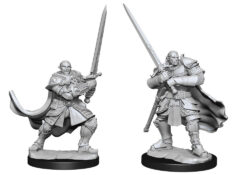 Half-Orc Paladin Male (WZK90307)