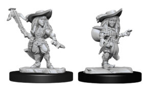 Pathfinder Deep Cuts: Gnome Bard Female (WZK90327)